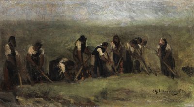 Lavoratori nel campo di barbabietole da Max Liebermann